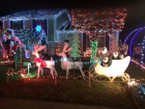 Vogt House Christmas Lights