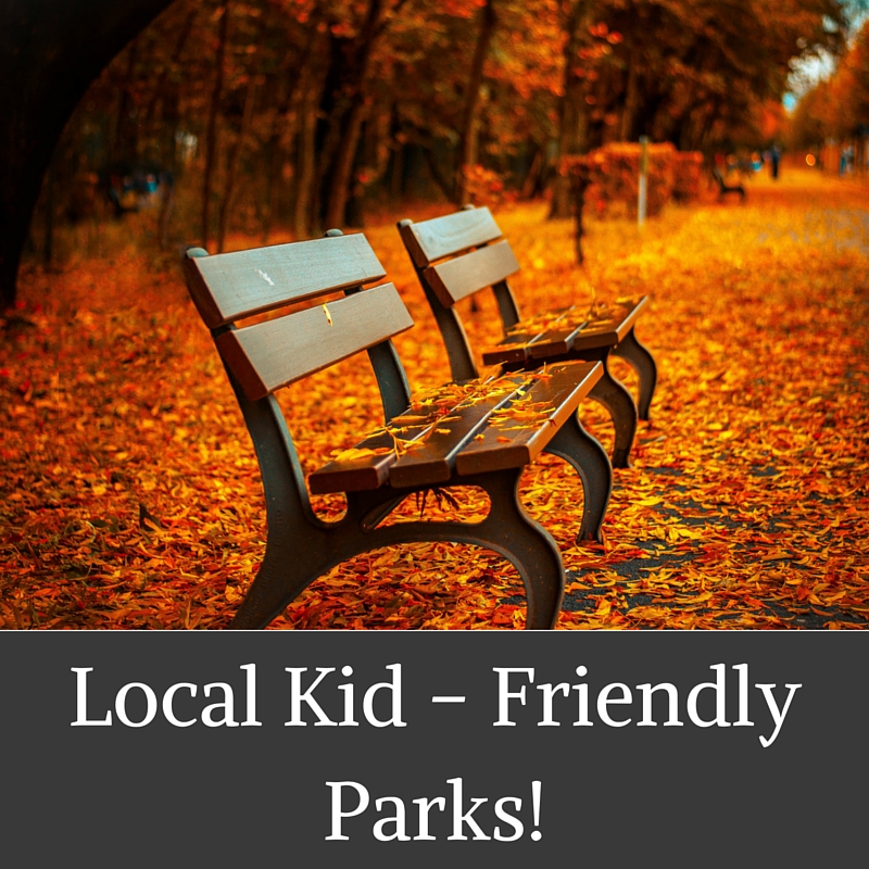 local kid friendly park
